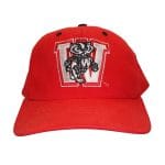 Wisconsin Badgers Flashing Fiber Optic Cap