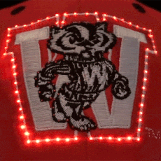 Wisconsin Badgers Flashing Fiber Optic Cap All Products Wisconsin Badgers Flashing Fiber Optic Cap All Products 5