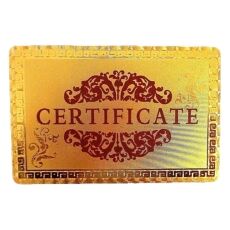 24 Karat USA Flag Patriotic Statue of Lady Liberty Gold Plated Waterproof Playing Cards 24K Gold and Silver Plated Replica Bills 24 Karat USA Flag Patriotic Statue of Lady Liberty Gold Plated Waterproof Playing Cards 24K Gold and Silver Plated Replica Bills 5