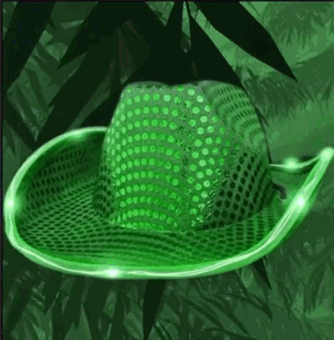 LED Flashing Cowboy Hat with Green Sequins All Products LED Flashing Cowboy Hat with Green Sequins All Products 6