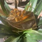 Adjustable Oval Mood Ring All Products Adjustable Oval Mood Ring All Products 5