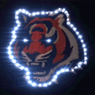 Cincinnati Bengals Flashing Fiber Optic Cap All Products Cincinnati Bengals Flashing Fiber Optic Cap All Products 5