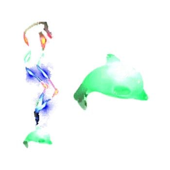 LED Dolphin Charm Necklace with Lightup Lanyard All Products