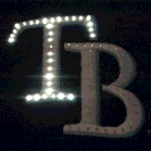 Tampa Bay Devil Rays Flashing Fiber Optic Cap All Products 4