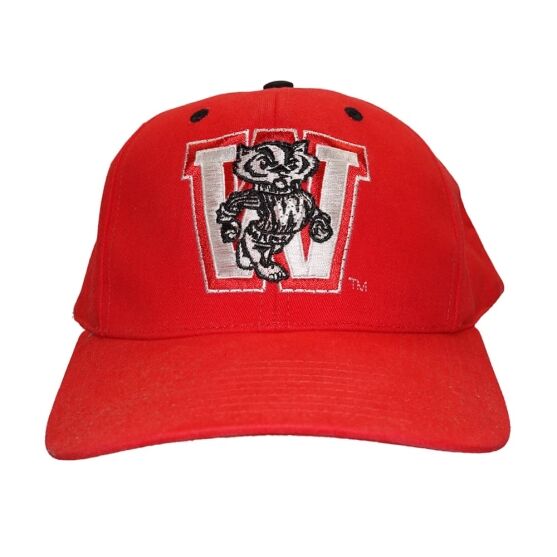 Wisconsin Badgers Flashing Fiber Optic Cap All Products Wisconsin Badgers Flashing Fiber Optic Cap All Products 3