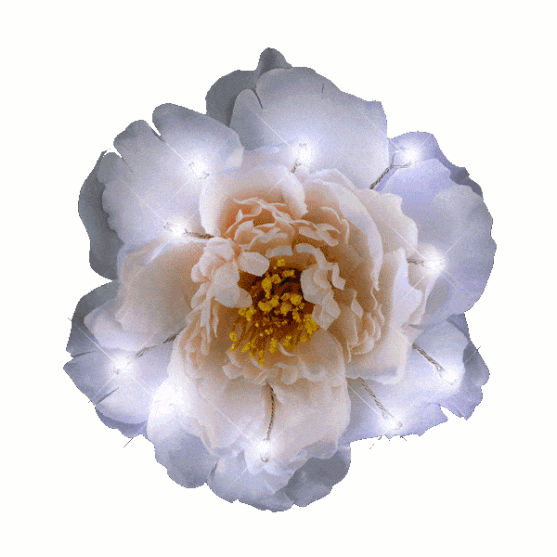 White on White on White LED Flower Hair Clip All Products 3