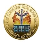 Strongest Steel Forged in Fire Inspirational Challenge Gold Plated Coin All Products 4