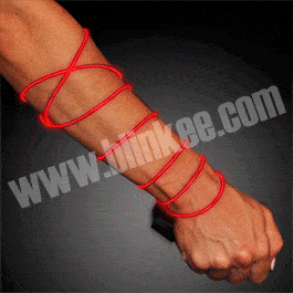 Electro Luminescent Wire 4 Foot Red All Products Electro Luminescent Wire 4 Foot Red All Products 3