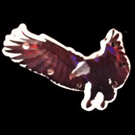 Flying Eagle Flashing Body Light Lapel Pins All Body Lights and Blinkees Flying Eagle Flashing Body Light Lapel Pins All Body Lights and Blinkees 3