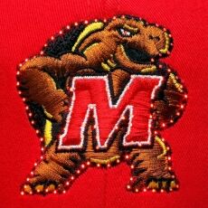 Maryland Terrapins Flashing Fiber Optic Cap All Products Maryland Terrapins Flashing Fiber Optic Cap All Products 4
