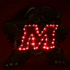 Maryland Terrapins Flashing Fiber Optic Cap All Products Maryland Terrapins Flashing Fiber Optic Cap All Products 5