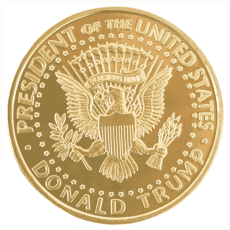 Trump Fighting For America Gold Coin President Donald Trump Novelty Coins Trump Fighting For America Gold Coin President Donald Trump Novelty Coins 6