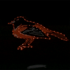 Baltimore Orioles Flashing Fiber Optic Cap All Products Baltimore Orioles Flashing Fiber Optic Cap All Products 4