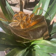 Adjustable Oval Mood Ring All Products Adjustable Oval Mood Ring All Products 5