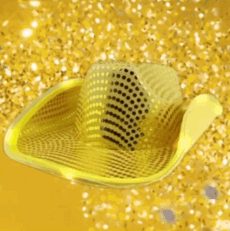 LED Flashing Cowboy Hat with Gold Sequins Pack of 2 All Products LED Flashing Cowboy Hat with Gold Sequins Pack of 2 All Products 4